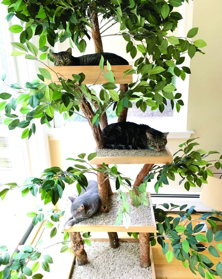 Indoor-Cat-Towers-Pet-Tree-Houses