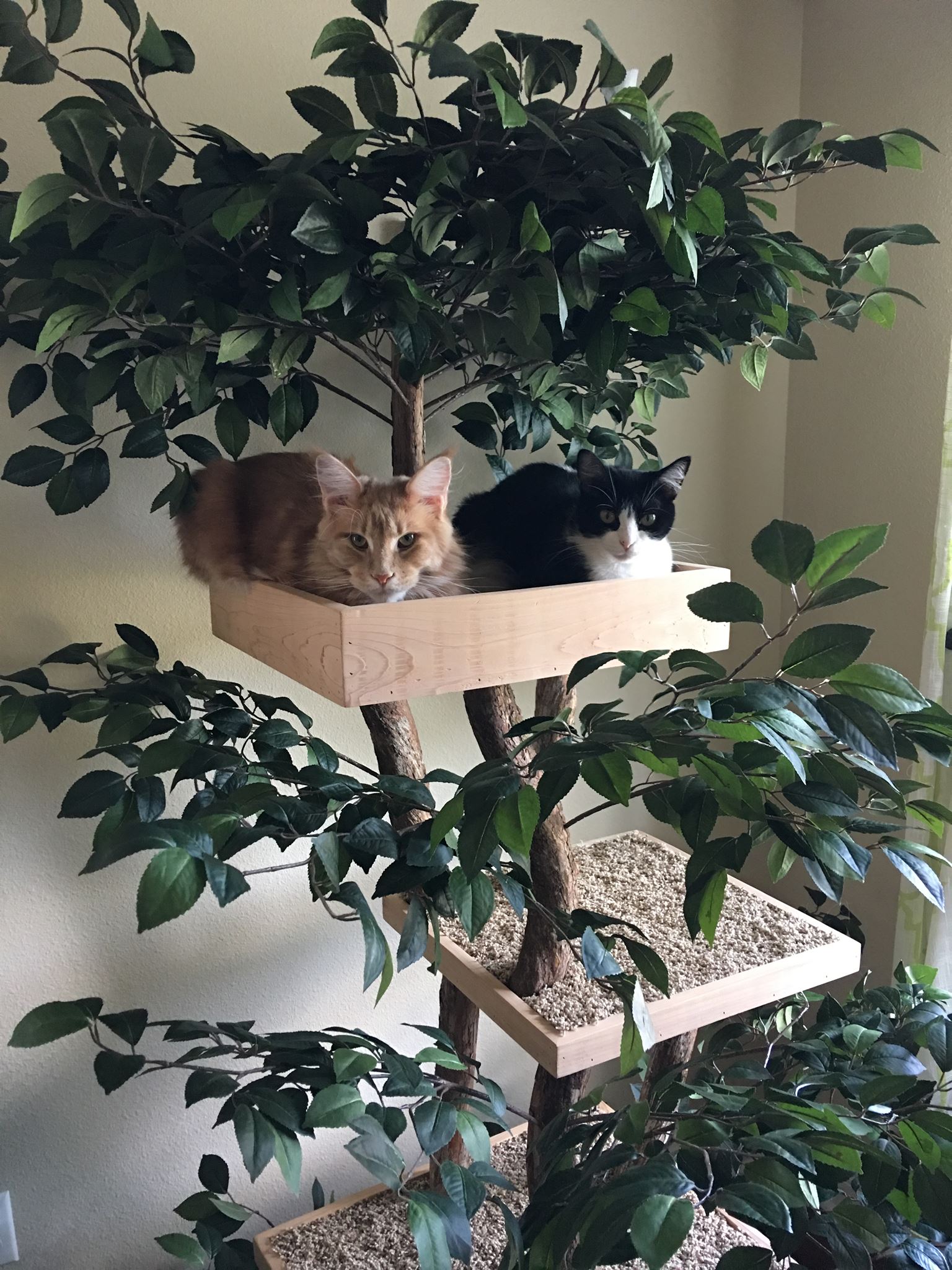 Indoor-Cat-Towers-Pet-Tree-Houses