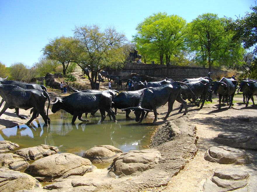 The Cattle Drive Sculptures In Dallas, Texas, USA