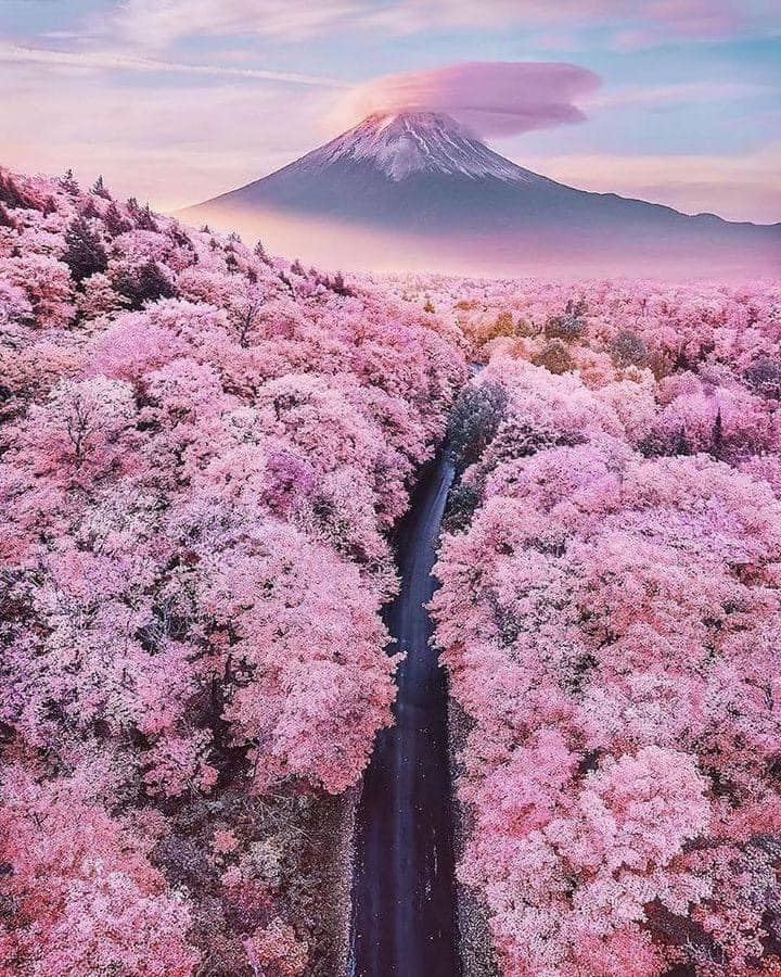 Fuji Mountain, Japan