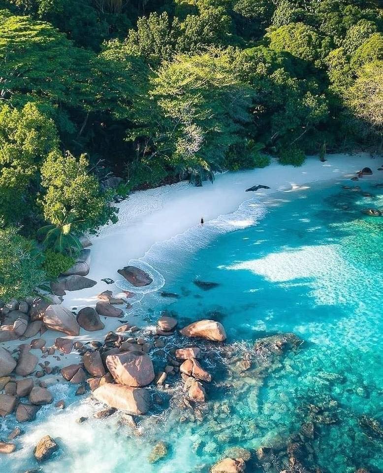 A Beautiful Beach, Seychelles